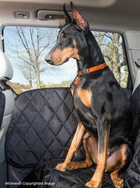 4Knines Durable Car Door Protector for Dogs, Waterproof, Set of 2, Black,‎ New